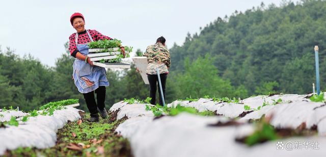 瞭望·治国理政纪事｜做好绿水青山就是 金山银山这篇大文章