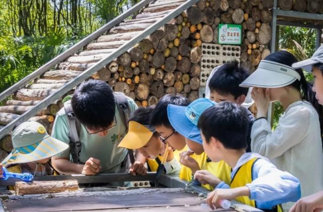 叮咚！这份来自环城生态公园的儿童游玩指南请查收