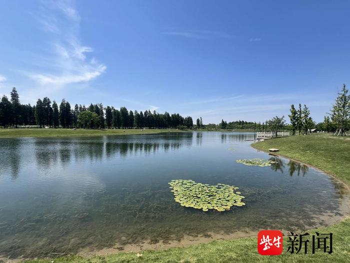 一江清水万重山｜宜兴加大河湖治理，让清澈河流汇入太湖