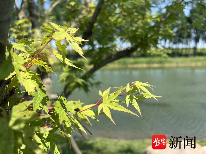 一江清水万重山｜宜兴加大河湖治理，让清澈河流汇入太湖