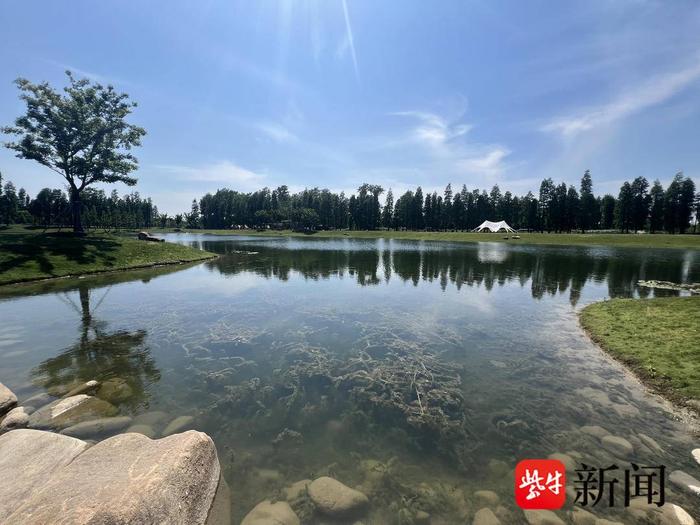 一江清水万重山｜宜兴加大河湖治理，让清澈河流汇入太湖