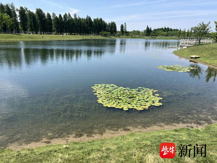 一江清水万重山｜宜兴加大河湖治理，让清澈河流汇入太湖