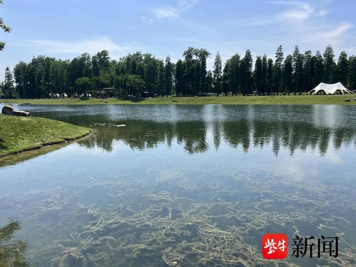 一江清水万重山｜宜兴加大河湖治理，让清澈河流汇入太湖