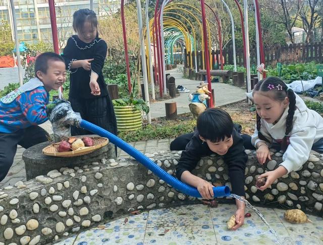 孩子们在“柘”里快乐成长，柘林这些学校的特色课程藏不住了！