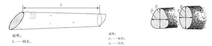 【原木专题】木本水源：原木期货上市预热——先导篇