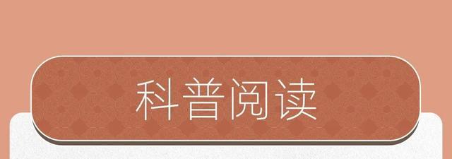 缤纷夏日，6月都有哪些精彩活动→