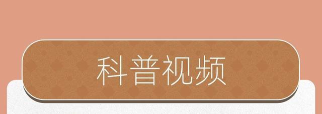 缤纷夏日，6月都有哪些精彩活动→