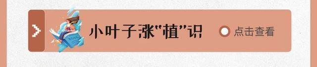 缤纷夏日，6月都有哪些精彩活动→