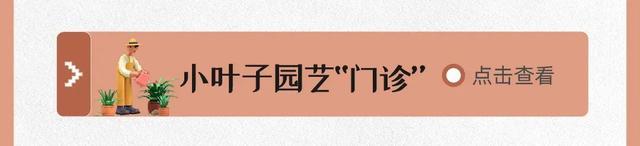 缤纷夏日，6月都有哪些精彩活动→