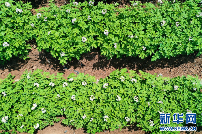 w700d1q75cms.jpg?by=cms_fixed_width