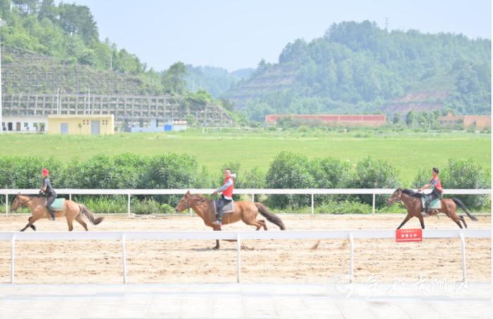 在家乡的土地上汲取灵感 贵州本土作家“回家”书诗意贵州