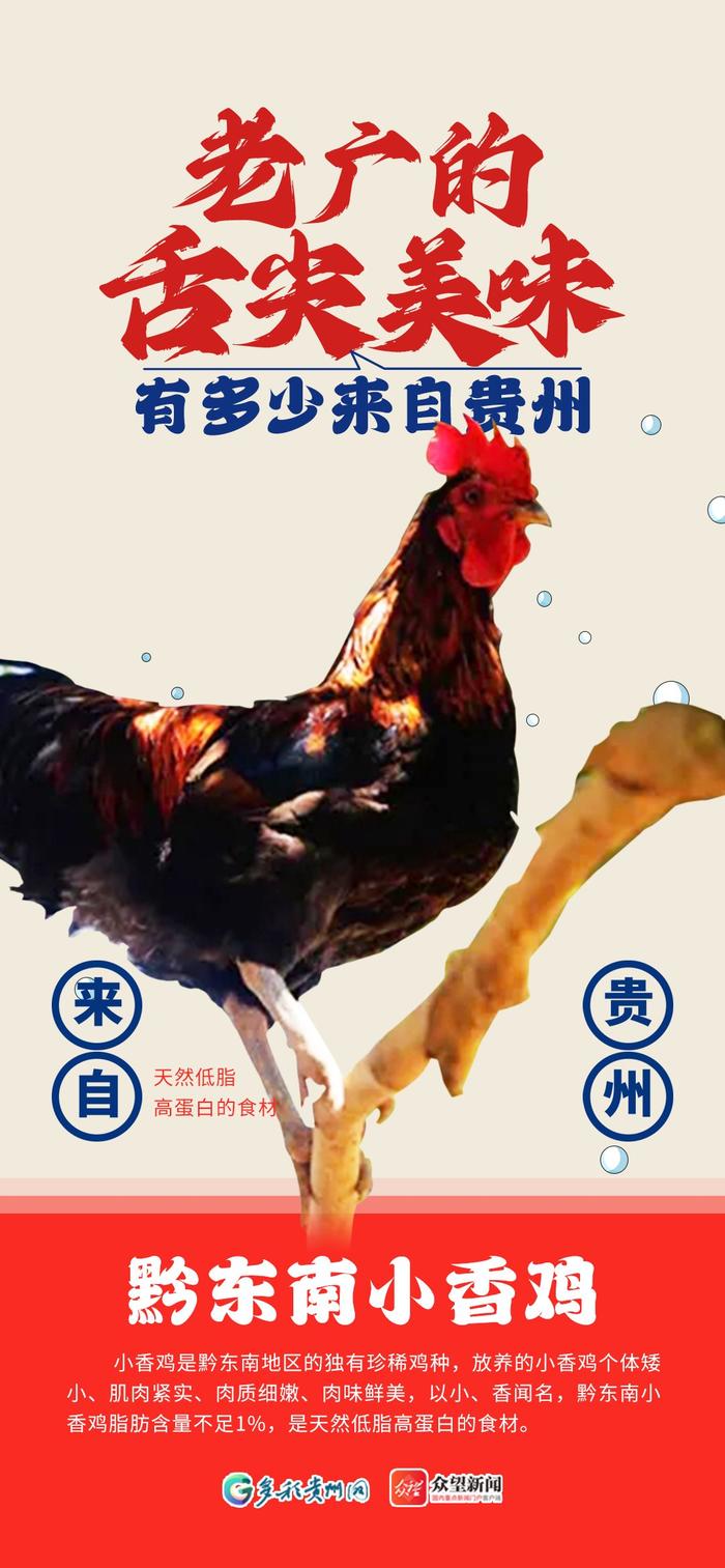 【海报】雪花牛、小香鸡......老广的舌尖美味有多少来自贵州？
