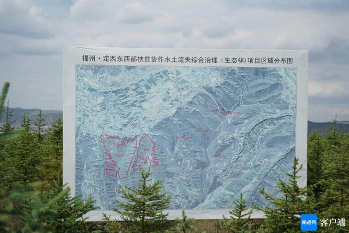 福州·定西生态林：经过7年的辛勤培育 原来的秃山如今满山碧绿
