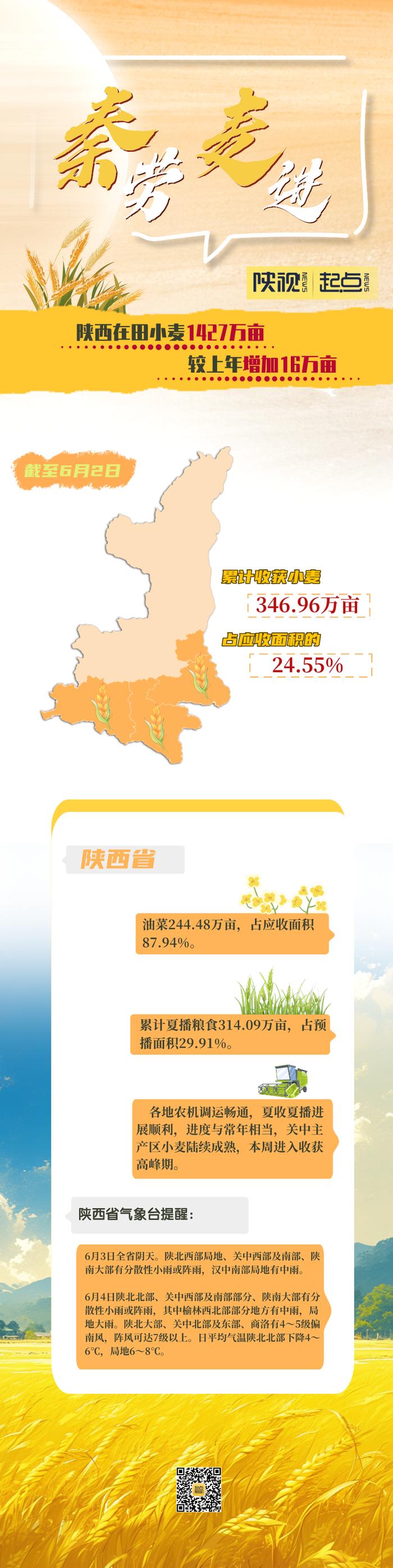 “秦”劳“麦”进 ！截至6月2日陕西累计收获小麦346.96万亩 占应收面积的24.55%