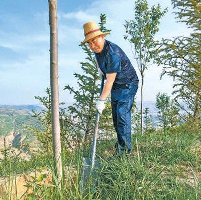 二十年来，甘肃定西与浙江金华、福建福州、山东青岛携手，接力造林——三片生态林 东西协作情