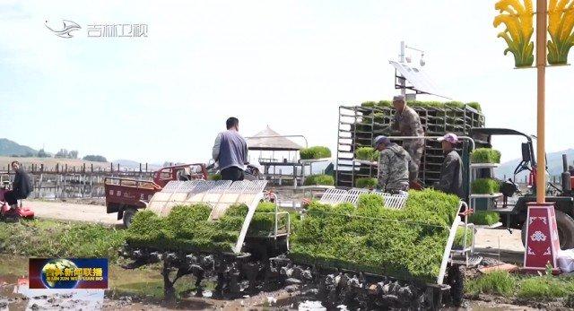 希望的田野丨吉林：各地抢抓农时 积极开展水田生产作业