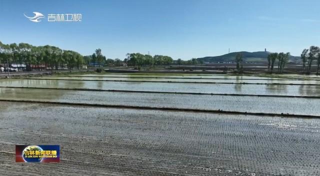 希望的田野丨吉林：各地抢抓农时 积极开展水田生产作业