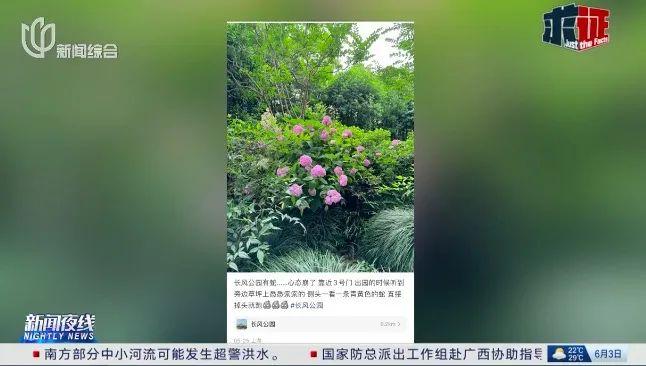 上海市民：世纪公园有蛇，一米多长！多座公园都监测到过，专家提醒→