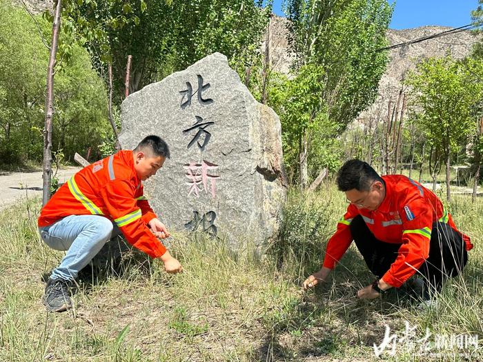 北方新报读者林：一方青绿染青城