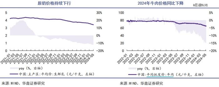 中国乳业迎来一条俄国鲶鱼