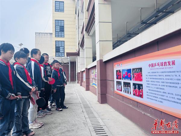 宁乡市东湖塘镇中心小学：“乒”出精彩 “乒”出未来