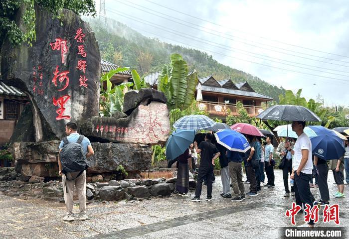 走进零碳景区那柯里 看云南宁洱如何开展国家林业碳汇试点