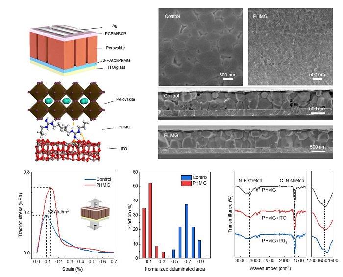 华东理工大学钙钛矿太阳能电池研究获新进展