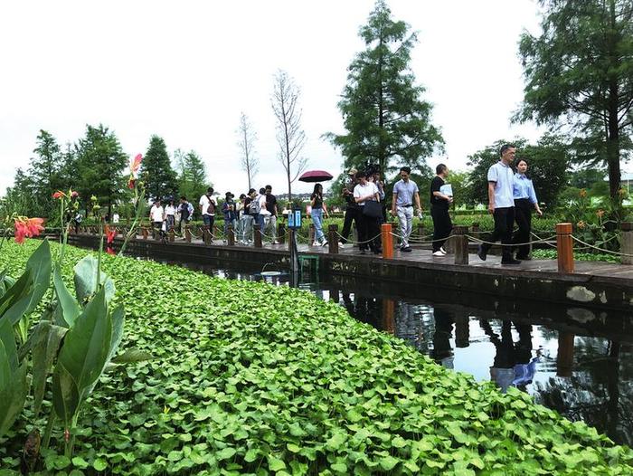 湿地公园水清岸绿  秀美邕江风景如画