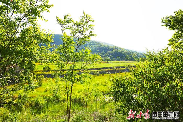 【2024甘肃生态环保行】视觉 | 在庆阳毛寺村，来一场多巴胺十足的“Citywalk”