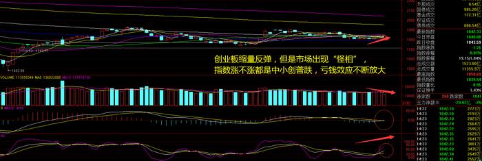 A股拉响警报，退市潮来啦！创业板扛不住，为何个股这么惨？