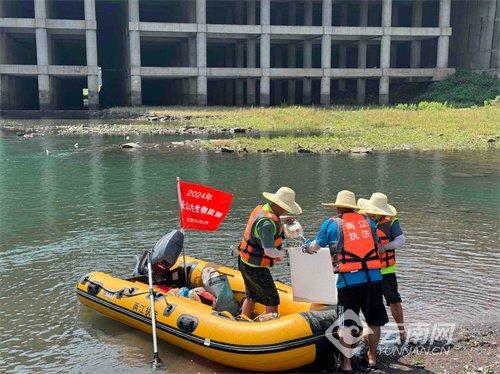 云南昭通水富监测到鱼类50余种 水生生物多样性恢复向好