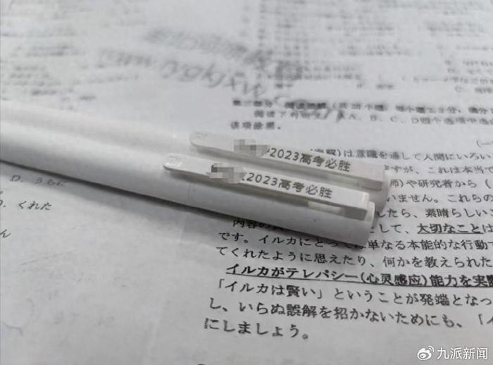 选择小语种高考的乡镇学生：为了高考学日语成功涨分