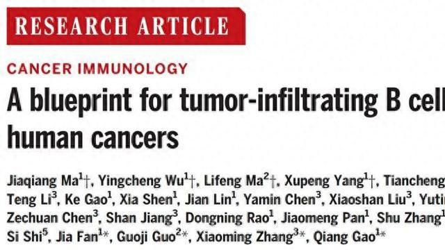 樊嘉院士团队成果登顶级期刊，将为肿瘤免疫治疗研究开辟新方向