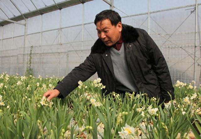 施克松：“水仙花大王”和家族的百年坚守