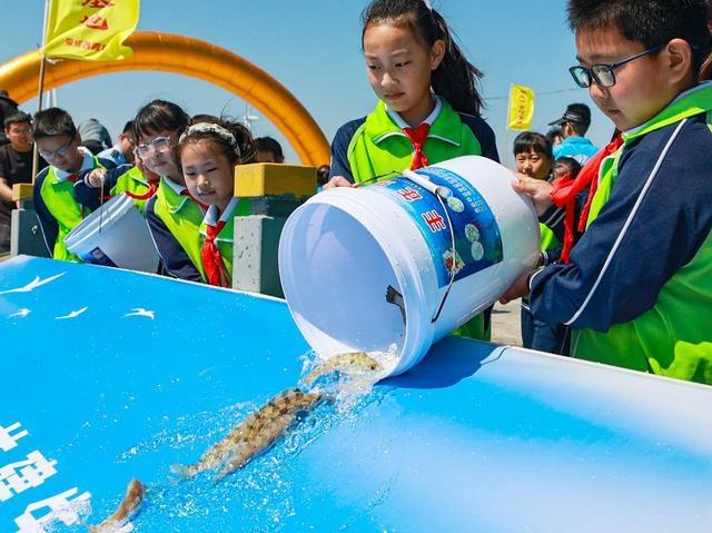 荣成：“纵鱼归海”经略海洋