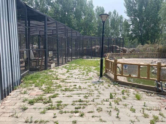 实探网传“废弃动物园”：园区正改造升级，饲料充足动物状态尚可