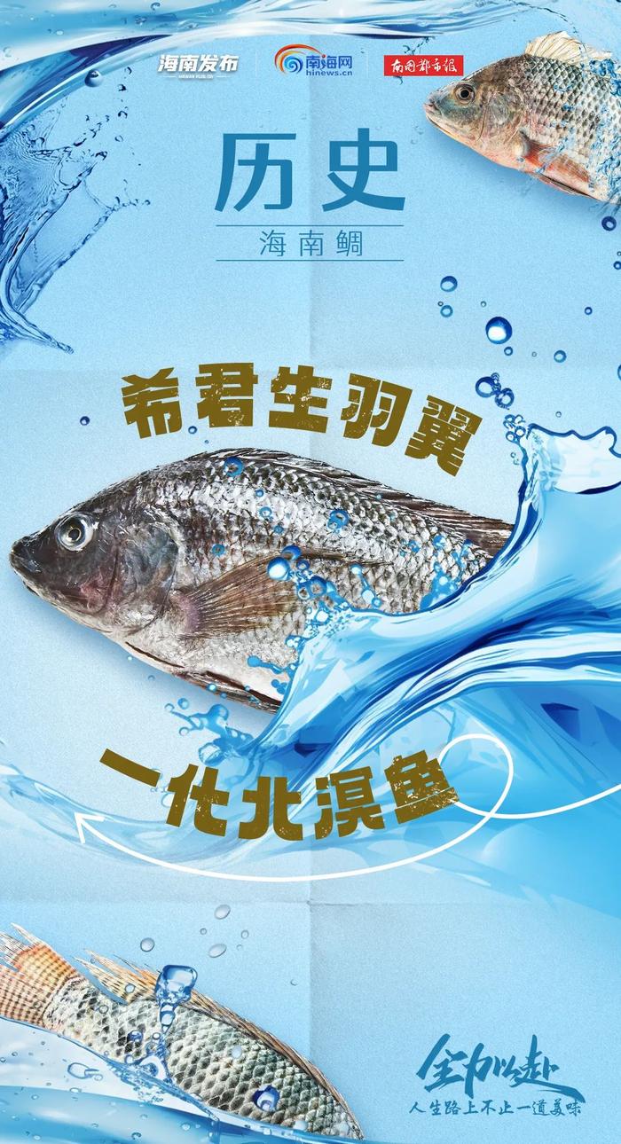 九门学科“联名”海南鲜品！为高考加油→