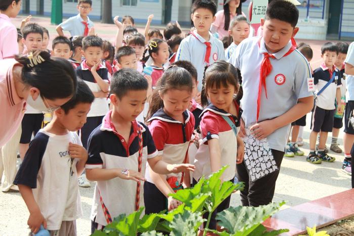 花开有时 衔接有爱 文化路第二小学携手金水区第六幼儿园开展幼小衔接活动