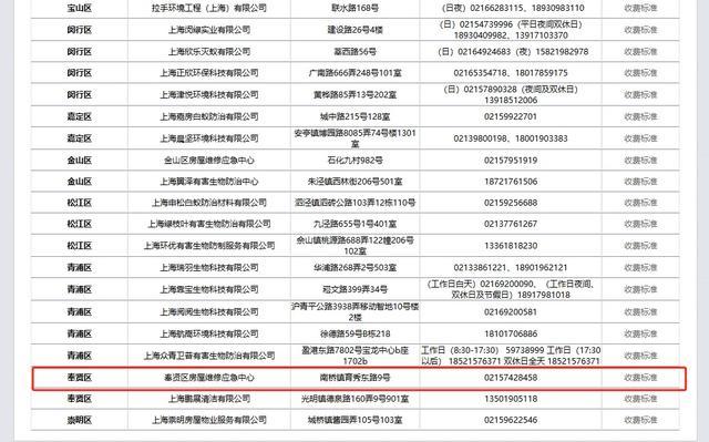 家中白蚁出没？别怕，奉信物业房屋维修应急中心为您解决