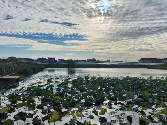 露营野餐、漫步赏景、阅读看展……一起来邂逅家门口的“诗与远方”！