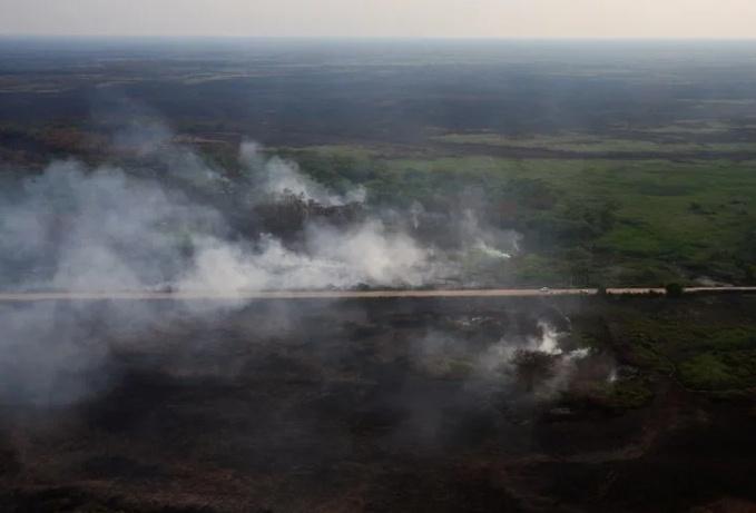 世界最大湿地火灾数量激增 预计将遭遇极端干旱