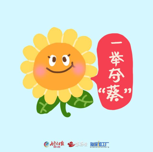 海报加工厂|除了金榜题名，还有这些祝福语可以送给考生