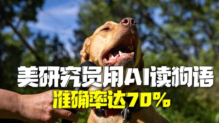 美国研究员用AI研究狗语 目前准确率达到70%