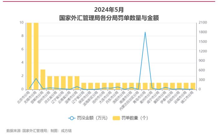 2024年5月外汇违规案例分析