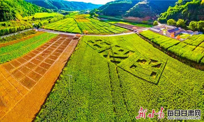 如今的南梁镇一派生机盎然
