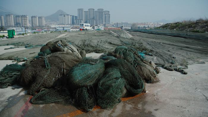 世界海洋日｜青岛拍摄札记