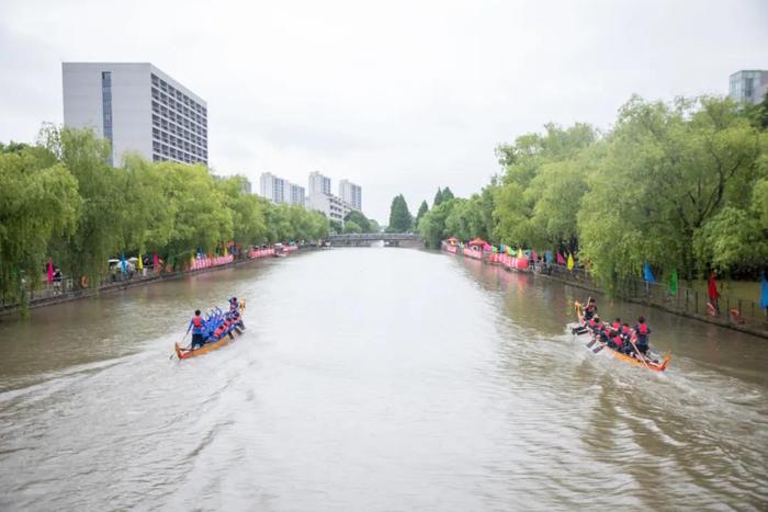 校园串门过端午：留学生两度参加全市龙舟赛，大学食堂向师生免费送“龙粽”