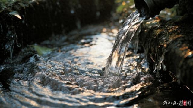 三年内提至发达国家先进水平，上海全面提升雨季污水处理能力