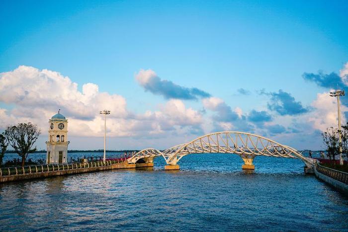 高考谢幕高招启动，上海市普通高校招生志愿填报现场咨询，80多校@本届考生