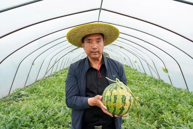 “金奖”西瓜就在南桥！夏日缤纷水果清爽来袭→